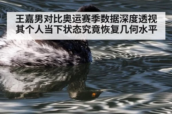 王嘉男对比奥运赛季数据深度透视其个人当下状态究竟恢复几何水平